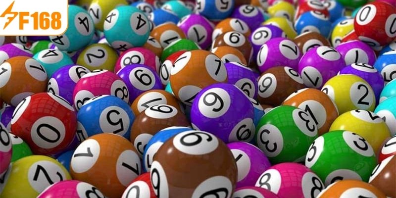 tổng quan về đề 4 càng